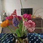 Feluca דירה *