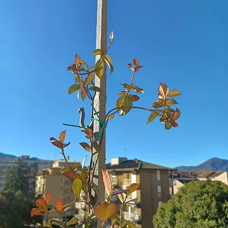 Appartamento Feluca