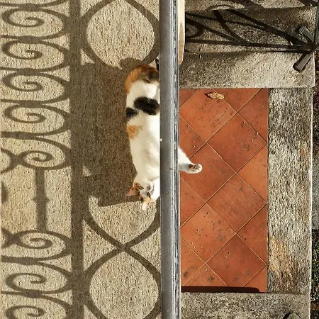 Appartamento Feluca Luino
