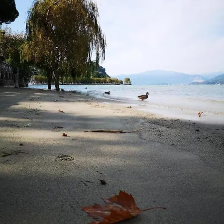 Feluca アパート *